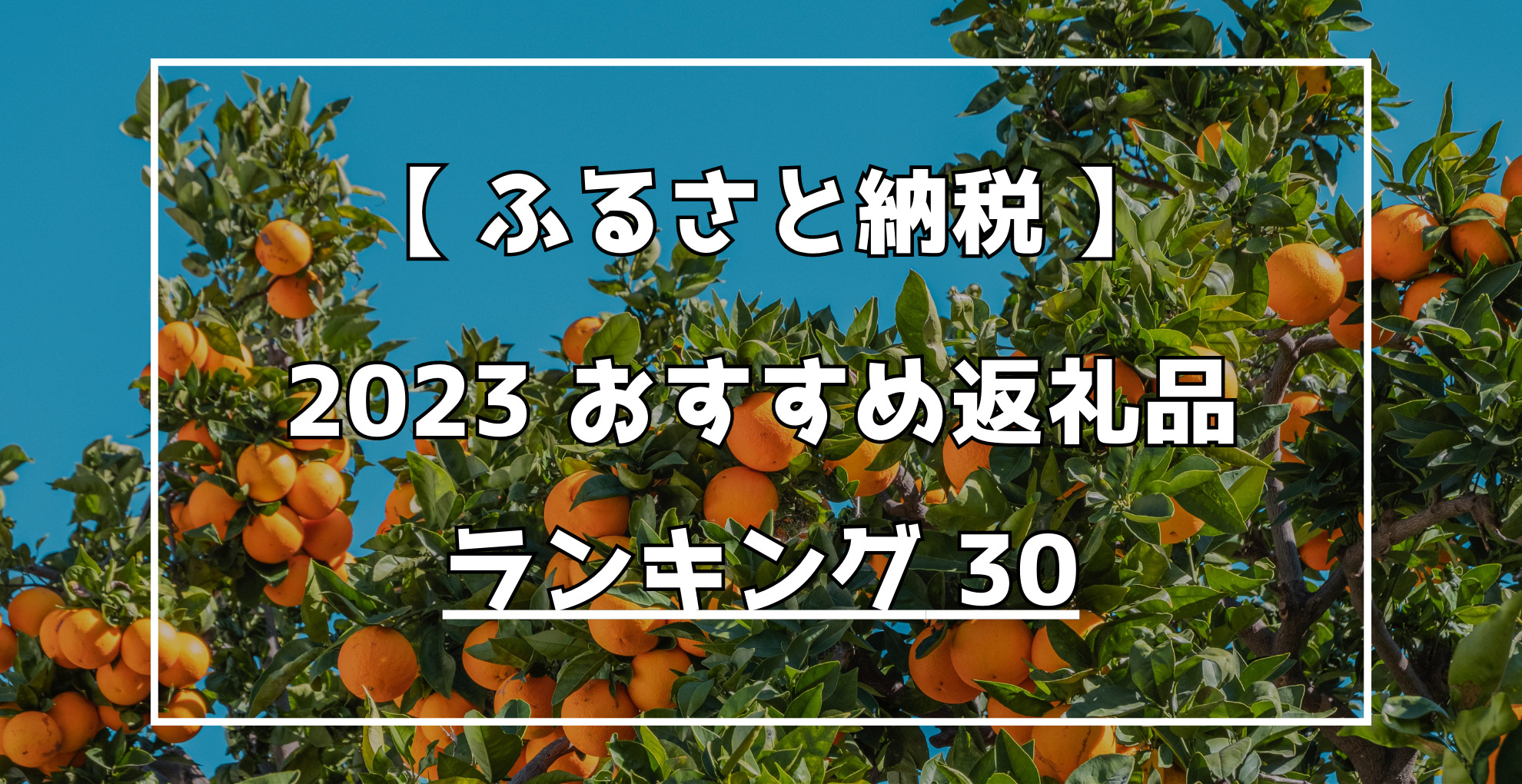 ふるさと納税　2023おすすめ返礼品　ランキング